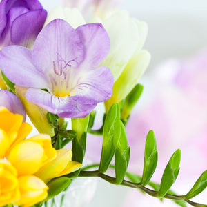 
                  
                    Freesia Frangrance Oil - Your Crafts
                  
                