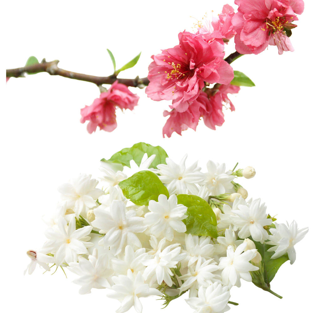 Peach Blossom and Water Jasmine Fragrance Oil - Your Crafts