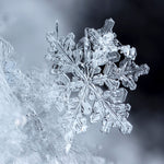 Sparkling Snowflake Fragrance Oil - Your Crafts