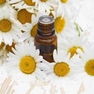 
                  
                    Chamomile Fragrance Oil - Your Crafts
                  
                