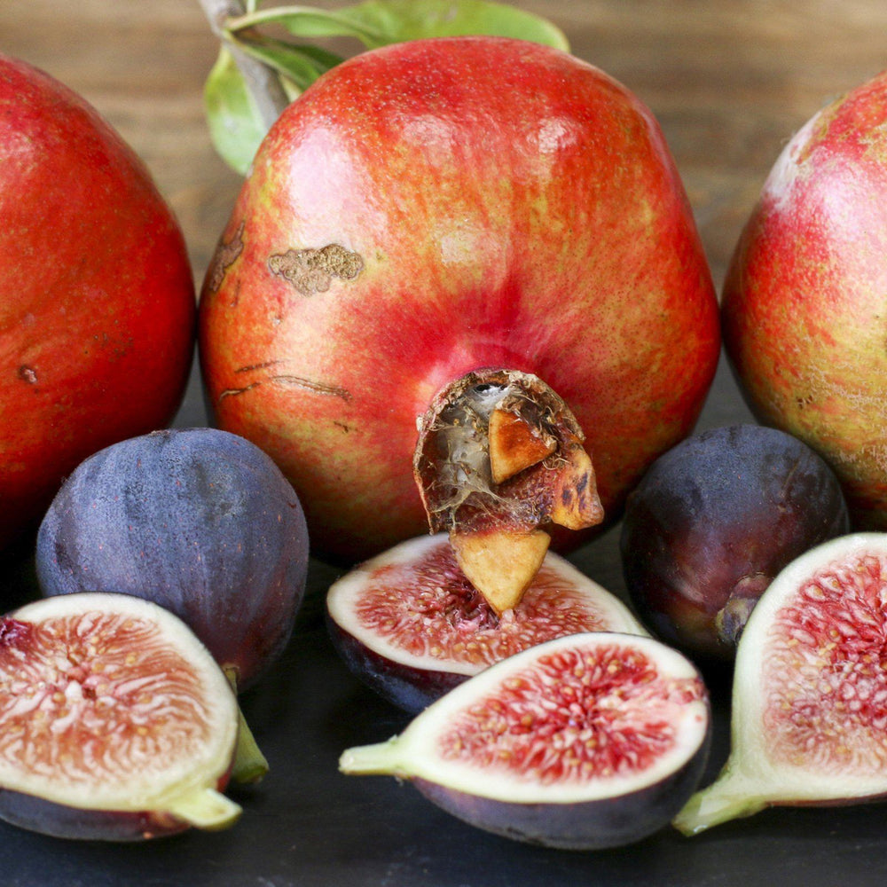 Pomegranate & Fig Fragrance Oil - Your Crafts